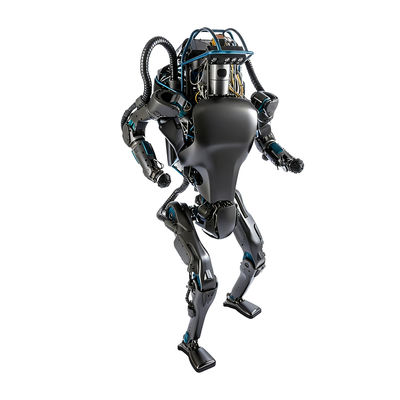 PLA Plastic 3D Printing Prototype High Precision Custom Model